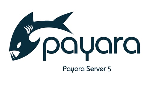 Payara-Server-5