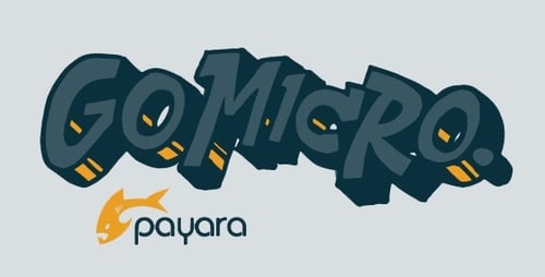 Payara_Micro-1-3