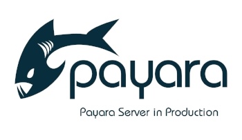 small-Payara-Server-in-Production-2